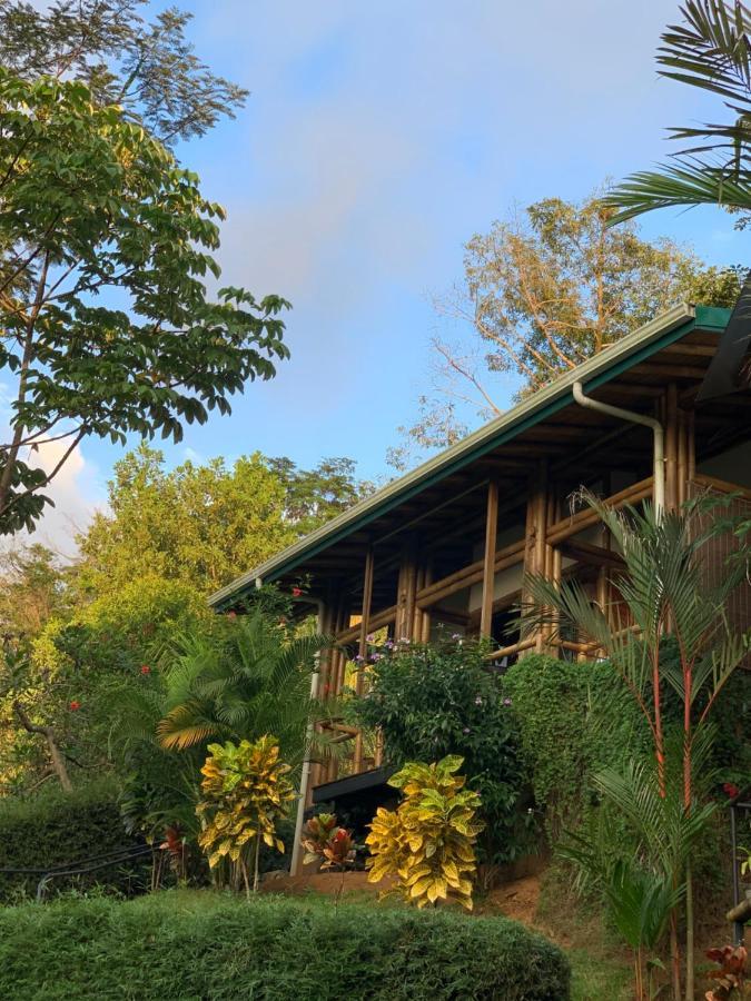 Bambura Hermosa Villas ウビタ エクステリア 写真
