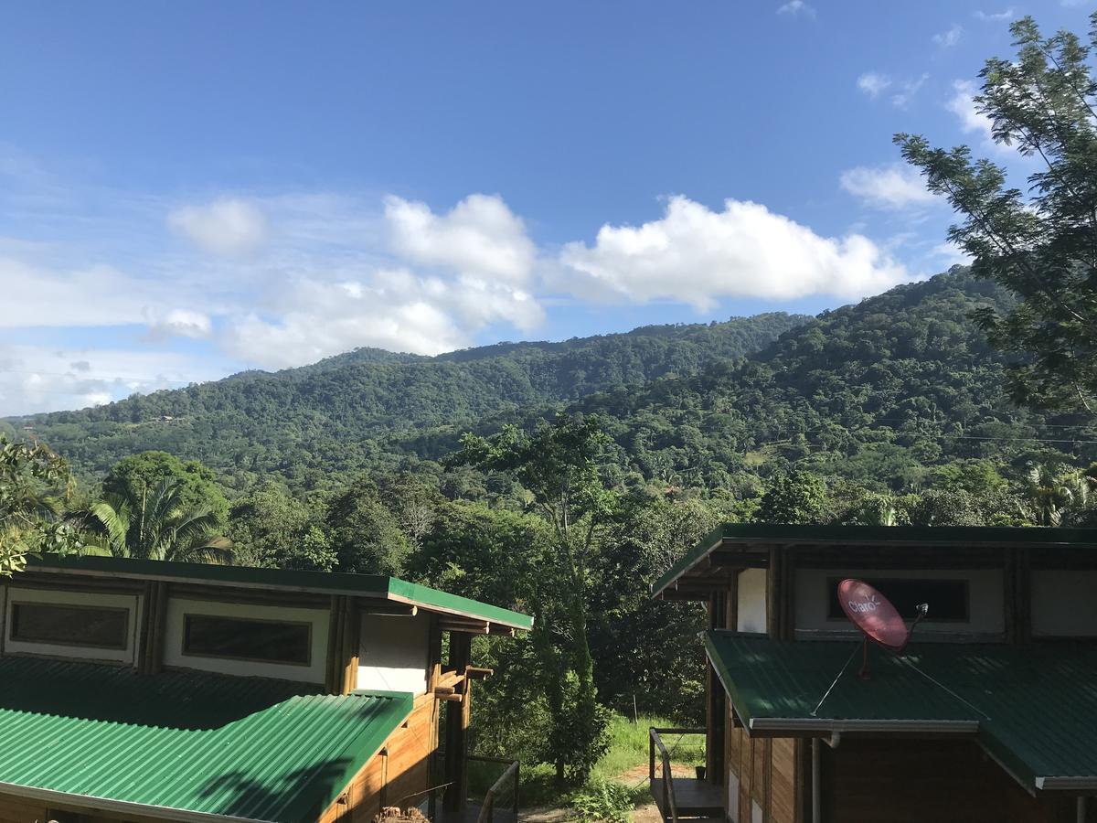 Bambura Hermosa Villas ウビタ エクステリア 写真