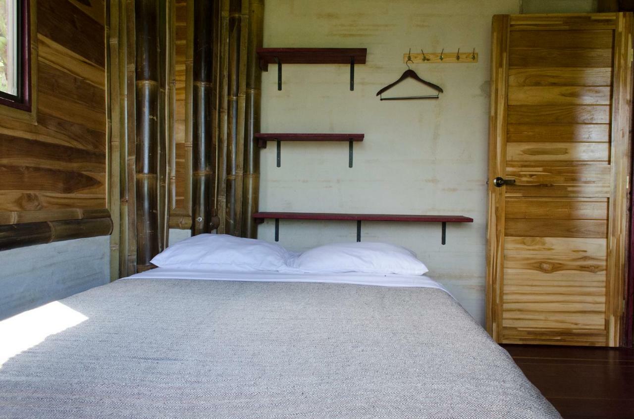 Bambura Hermosa Villas ウビタ エクステリア 写真